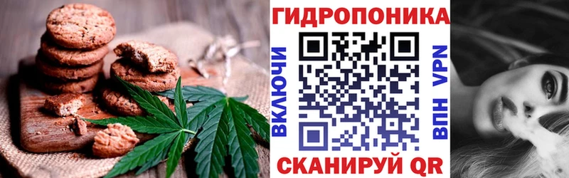 дарк нет наркотические препараты  сколько стоит  Вязьма  Cannafood конопля 