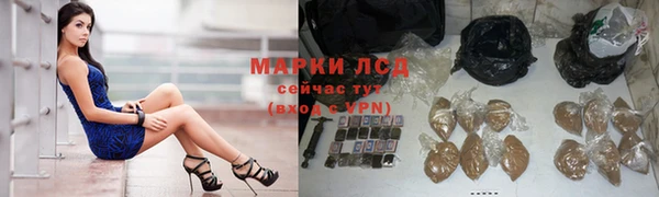 спайс Баксан