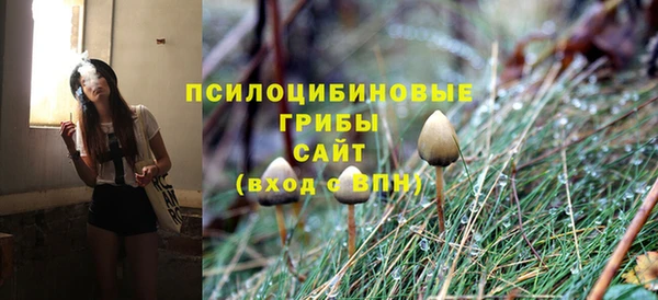 мдпв Балабаново