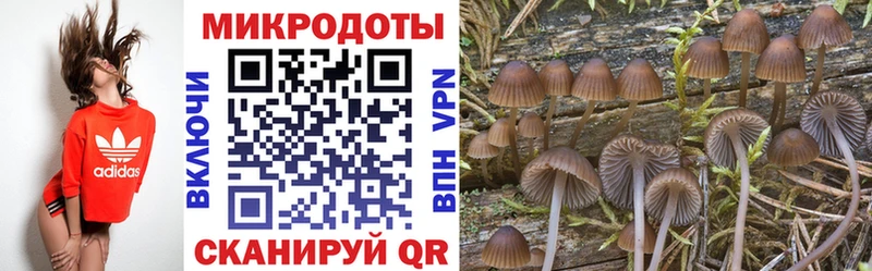 Псилоцибиновые грибы прущие грибы  Вязьма 