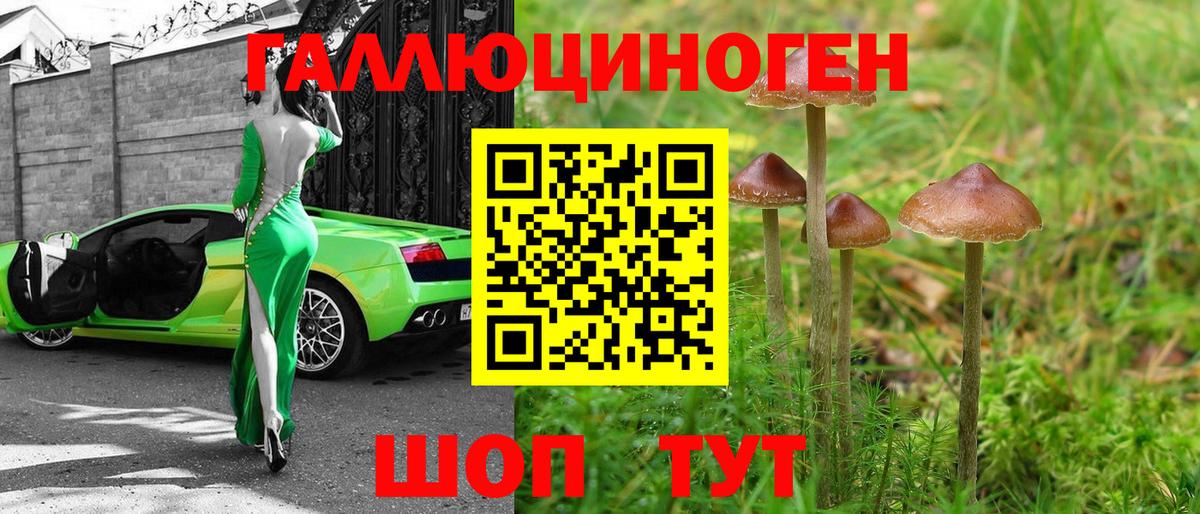 Галлюциногенные грибы GOLDEN TEACHER Вязьма