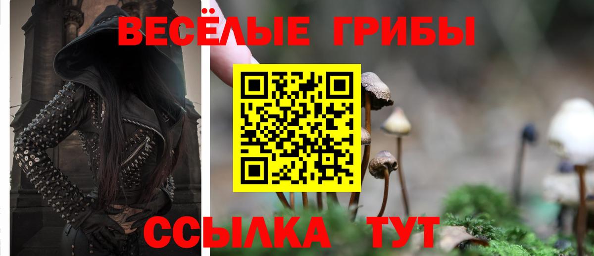 сколько стоит  Галлюциногенные грибы прущие грибы  Галлюциногенные грибы GOLDEN TEACHER  Вход с VPN  Вязьма 